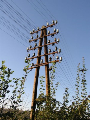 450px-Telegrafenmast.jpg