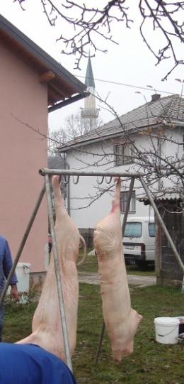Slika