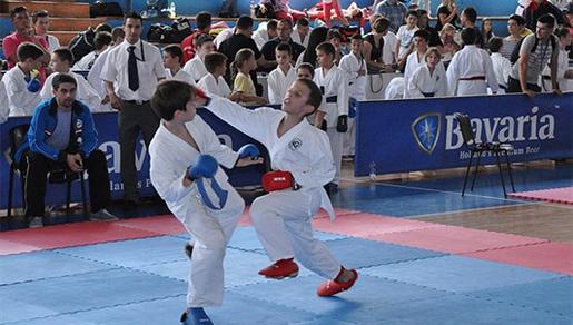 Više od 500 natjecatelja nastupilo na Međunarodnom karate turniru \'\'DBG Open 2013\'\'